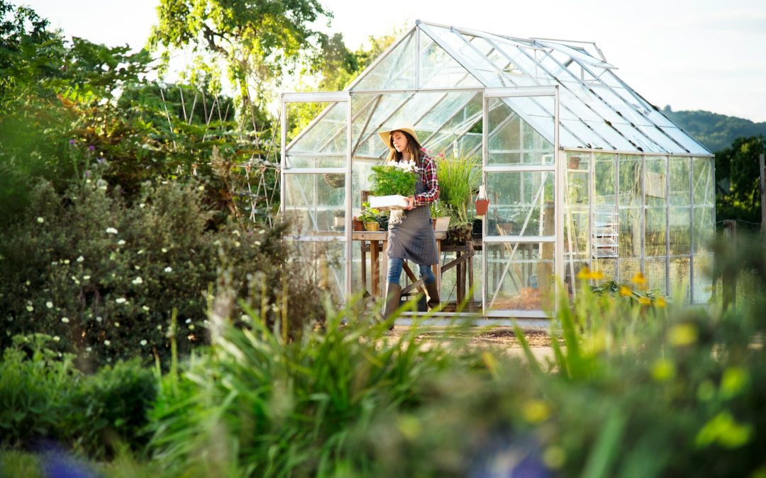 Managing Desert Plant Growth in Mesa Gardens